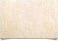 Baltic Birch